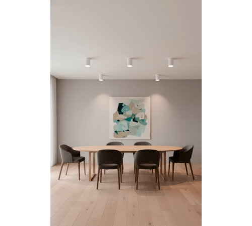 Потолочный светильник Crystal Lux CLT 084C WH