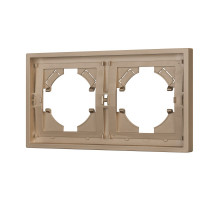 Рамка пластиковая на 2 поста Arlight FRM-TENDO-PL-2-GD 053842