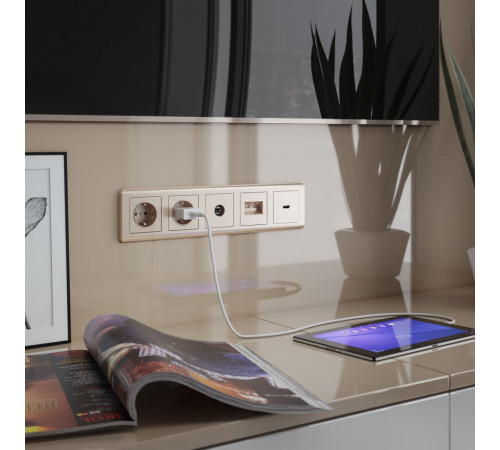 Накладка для розетки HDMI Werkel W1196010 4690389160738 a051433