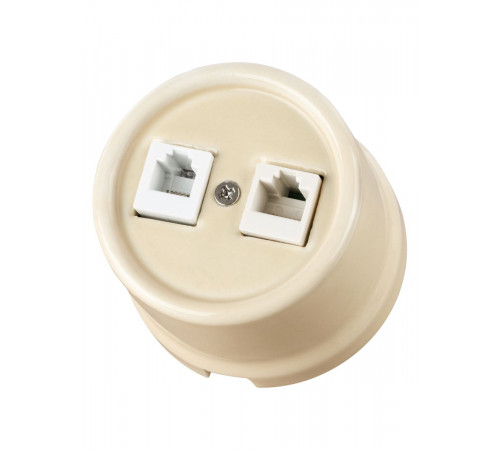 Розетка телефонная RJ11 + компьютерная RJ45 сл. кость Болонь TDM Electric SQ1820-0352
