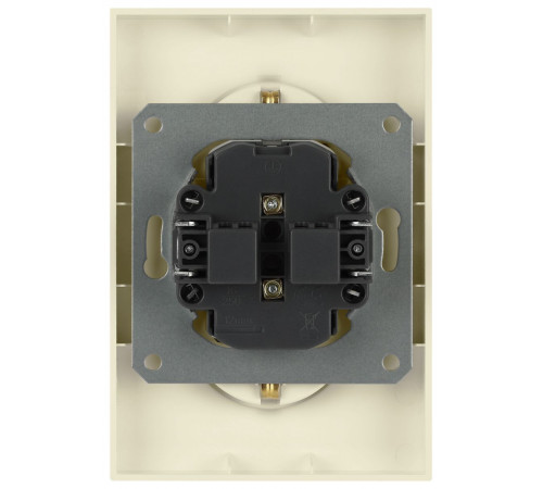 Розетка Эра Arktik 16-2107-02 без заземления двойная 2X2P 16А-250В слоновая кость Б0071682