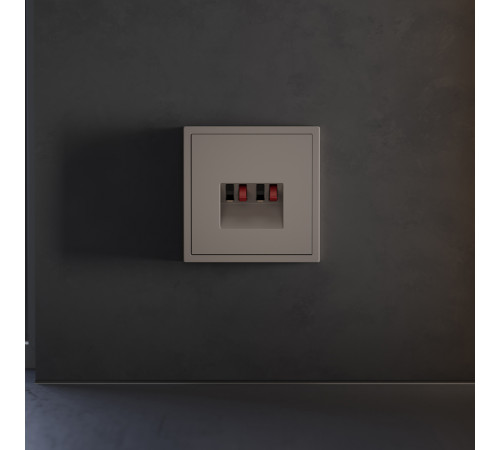 Накладка для розетки акустической 4-местной  Voltum S70 (капучино) VLS001514