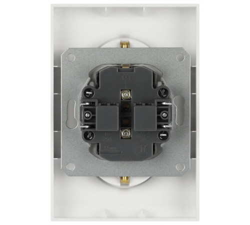 Розетка Эра Arktik 16-2105-04 двойная с заземлением 2X2P+E Schuko со шторками 16А-250В шампань Б0070457