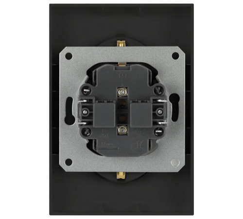 Розетка Эра Arktik 16-2104-05 двойная с заземлением 2X2P+E Schuko 16А-250В антрацит Б0070448