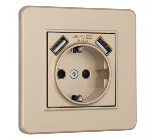 Розетка Arte Milano SET16-1-47-1 shampan Розетка Arte Milano SET16-1-47-1 shampan