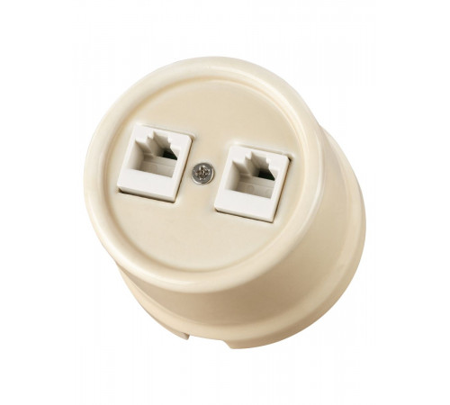 Розетка двойная компьютерная RJ45 сл. кость Болонь TDM Electric SQ1820-0351