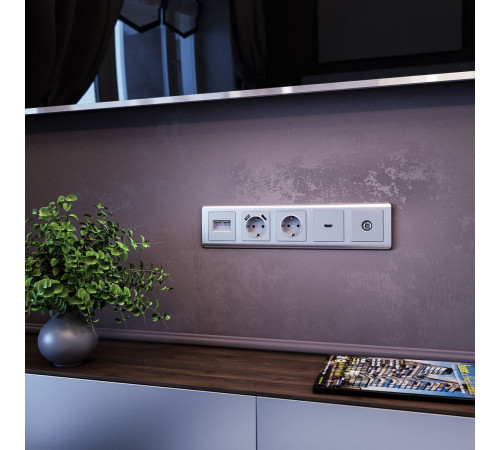 ТВ-розетка оконечная Werkel W1183006 4690389164873 a050888