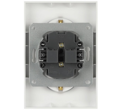 Розетка ЭРА Galaxy 15-2107-01 без заземления двойная 2X2P 16А-250В IP20 белый Б0071697