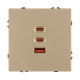 Механизм розетки с быстрой USB зарядкой Arlight SCT-NOBE-MUACC-SFPL-FC-GD (65W, QC3) 061836