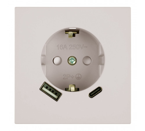 Розетка 1-местная 16А + USB + Type C (механизм) Stekker 250В 20W Мия RST16-3119-08 50482