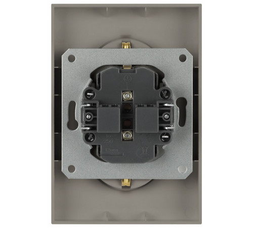Розетка Эра Arktik 16-2105-07 двойная с заземлением 2X2P+E Schuko со шторками 16А-250В титан Б0070460
