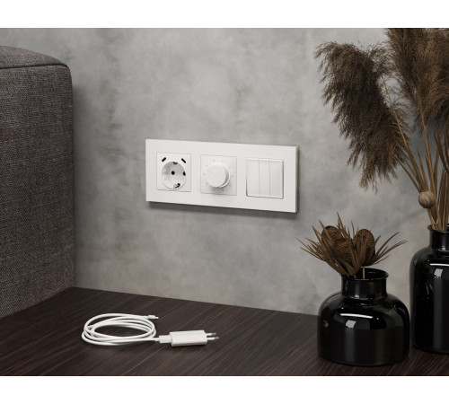 Комплект механизма электрической розетки 2USB С+C 20W с/з на винтовых зажимах 16A-250V Alfa Белый матовый Quant Ambrella Volt MA130510 (AP1305, VM165) Комплект механизма электрической розетки 2USB С+C 20W с/з на винтовых зажимах 16A-250V Alfa Белый матовый Quant Ambrella Volt MA130510 (AP1305, VM165)