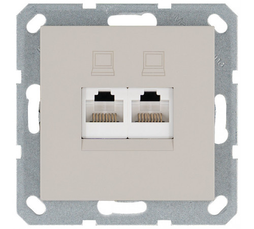 Интернет-розетка RJ45 двойная с накладкой, цвет Тауп Jasmart G6106T Интернет-розетка RJ45 двойная с накладкой, цвет Тауп Jasmart G6106T