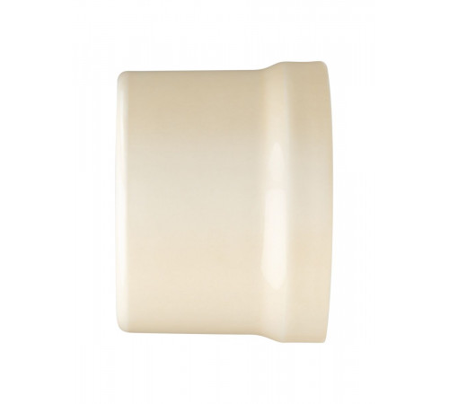 Розетка телефонная RJ11 + компьютерная RJ45 сл. кость Болонь TDM Electric SQ1820-0352