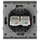 Розетка Эра Arktik 16-3108-06 информационная двойная 2XRJ45 графит Б0070489