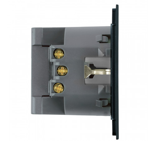 Розетка 1-местная з/ш с/з 16А + USB + Type C (механизм) Stekker Мия 250В 20W RST16-3119-05 черный бархат 50452