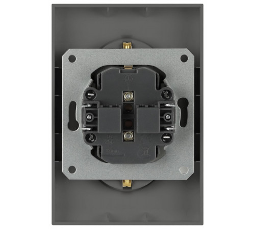 Розетка Эра Arktik 16-2104-06 двойная с заземлением 2X2P+E Schuko 16А-250В графит Б0070449