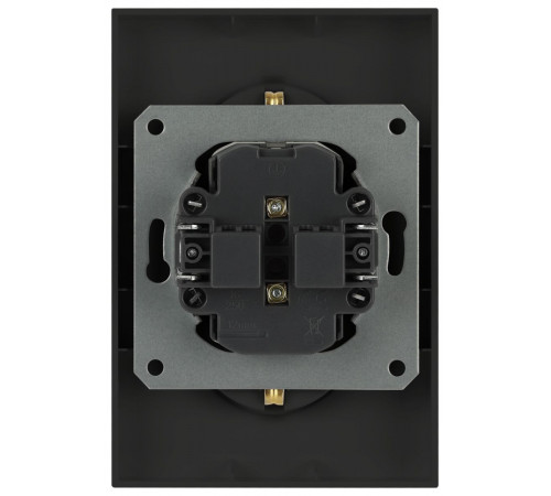 Розетка Эра Arktik 16-2107-05 без заземления двойная 2X2P 16А-250В антрацит Б0071685