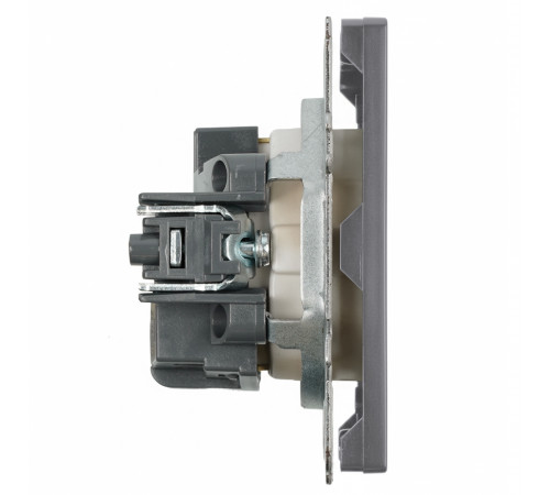 Розетка 1-местная с з/ш с/з (механизм) СЗК Stekker Эмили 250В 16А RST16-5110-10ZK платиново-серый soft touch 50243