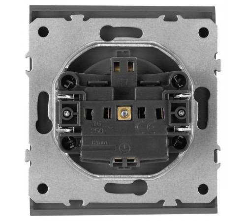 Розетка Эра Arktik 16-2103-06 с заземлением 2P+E Schuko со шторками с крышкой 16А-250В графит Б0070439