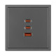 Механизм розетки с быстрой USB зарядкой Arlight SCT-NOBE-MUACC-SFPL-FC-GR (65W, QC3) 061837