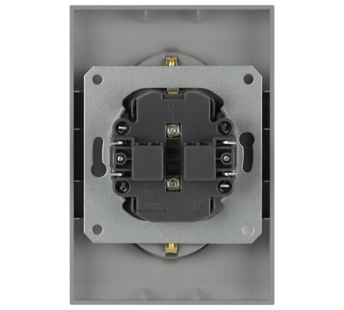 Розетка Эра Arktik 16-2105-03 двойная с заземлением 2X2P+E Schuko со шторками 16А-250В алюминий Б0070456