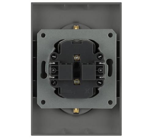 Розетка Эра Arktik 16-2107-06 без заземления двойная 2X2P 16А-250В графит Б0071686