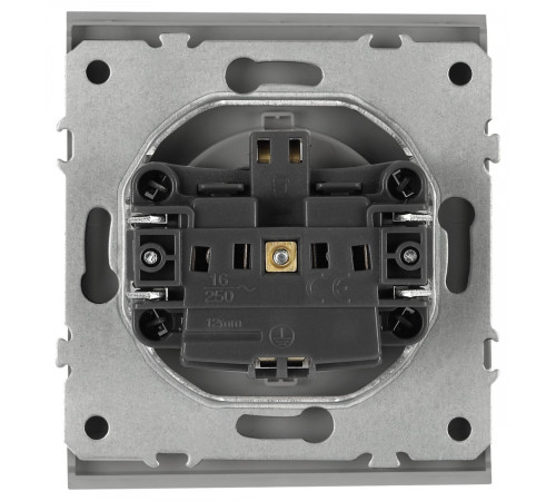 Розетка Эра Arktik 16-2102-03 с заземлением 2P+E Schuko со шторками 16А-250В алюминий Б0070426
