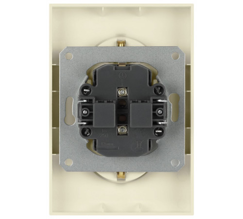 Розетка Эра Arktik 16-2104-02 двойная с заземлением 2X2P+E Schuko 16А-250В слоновая кость Б0070445
