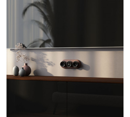 ТВ розетка Werkel (черный) Ретро W5683008 4690389166778 a051449