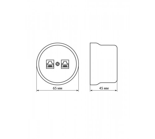Розетка телефонная RJ11 + компьютерная RJ45 сл. кость Болонь TDM Electric SQ1820-0352
