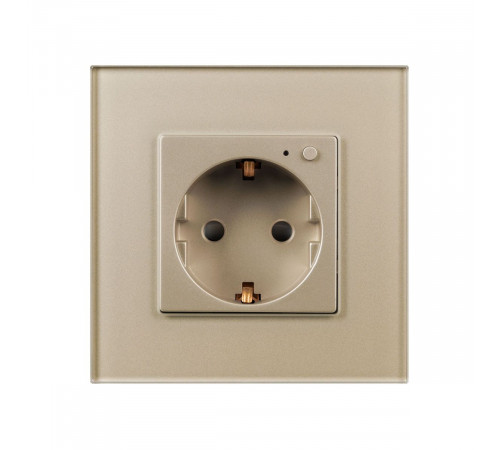 Розетка электрическая с Zigbee управлением Arlight SCT-OMALI-EUZB1-PL-GD (240V, 16A, Zigbee) 050218 Розетка электрическая с Zigbee управлением Arlight SCT-OMALI-EUZB1-PL-GD (240V, 16A, Zigbee) 050218