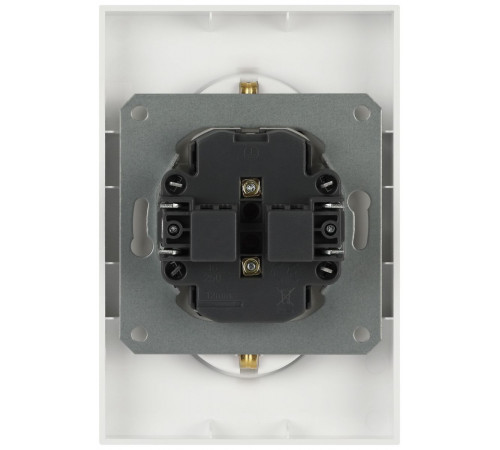 Розетка Эра Arktik 16-2107-08 без заземления двойная 2X2P 16А-250В белый матовый Б0071688