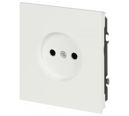 Розетка Эра Arktik 16-2106-08 без заземления 2P 16А-250В белый матовый Б0071680