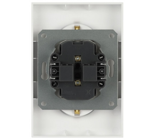 Розетка Эра Arktik 16-2107-04 без заземления двойная 2X2P 16А-250В шампань Б0071684