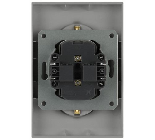 Розетка Эра Arktik 16-2107-03 без заземления двойная 2X2P 16А-250В алюминий Б0071683