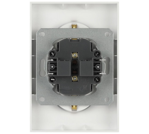 Розетка ЭРА Galaxy 15-2104-01 с заземлением двойная 2X2P+E Schuko 16А-250В IP20 белый Б0070678
