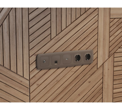 Комплект механизма компьютерной розетки Ambrella Volt RJ-45 (8P8C) CAT6A экранированной с автоматической защитной шторкой OMEGA MO642005 Темная бронза матовый QUANT (OP6420, VM185)