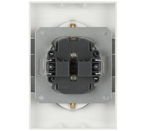 Розетка ЭРА Arktik 16-2104-01 двойная с заземлением 2X2P+E Schuko 16А-250В белый Б0070444