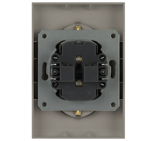 Розетка Эра Arktik 16-2107-07 без заземления двойная 2X2P 16А-250В титан Б0071687