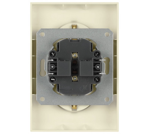 Розетка Эра Galaxy 15-2104-02 с заземлением двойная 2X2P+E Schuko 16А-250В IP20 слоновая кость Б0070679