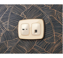 Комплект механизма компьютерной розетки Ambrella Volt RJ-45 (8P8C) CAT6A экранированной с автоматической защитной шторкой OMEGA MO312005 Бежевый глянец QUANT (OP3120, VM185)