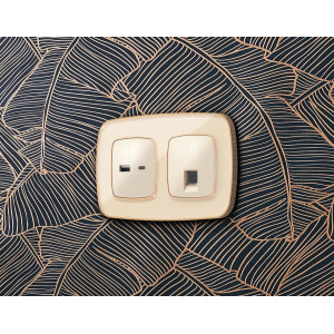 Комплект механизма компьютерной розетки Ambrella Volt RJ-45 (8P8C) CAT6A экранированной с автоматической защитной шторкой OMEGA MO312005 Бежевый глянец QUANT (OP3120, VM185)