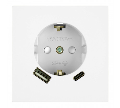Розетка 1-местная 16А + USB + Type C (механизм) Stekker 250В 20W Мия RST16-3119-01 50438
