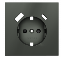 Накладка для розетки с заземлением и защитными шторками, с USB A+C Voltum S70 (титан) VLS001006