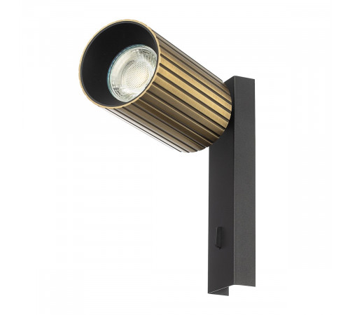 Спот Citilux Axel CL512513R