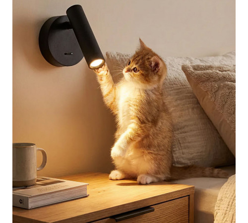 Спот Citilux Dekart CL704101