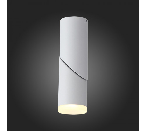 Спот ST Luce ST107.502.10