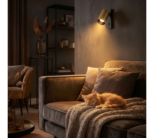Спот Citilux Axel CL512513R