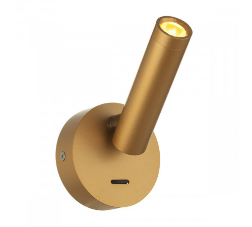 Спот Citilux Dekart CL704102